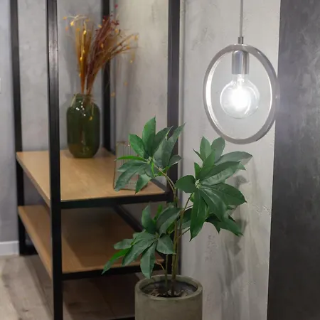 Avangard Kulisha 29 *