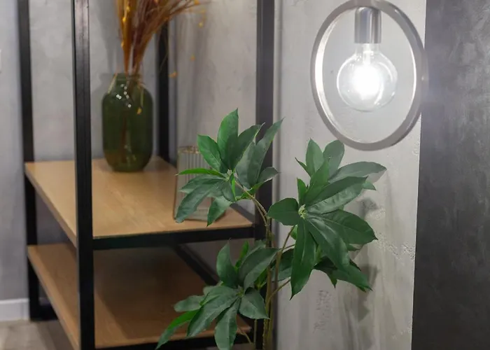 Avangard Kulisha 29 *