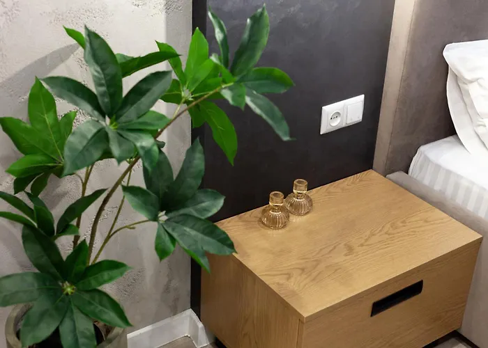 Avangard Kulisha 29 리비프